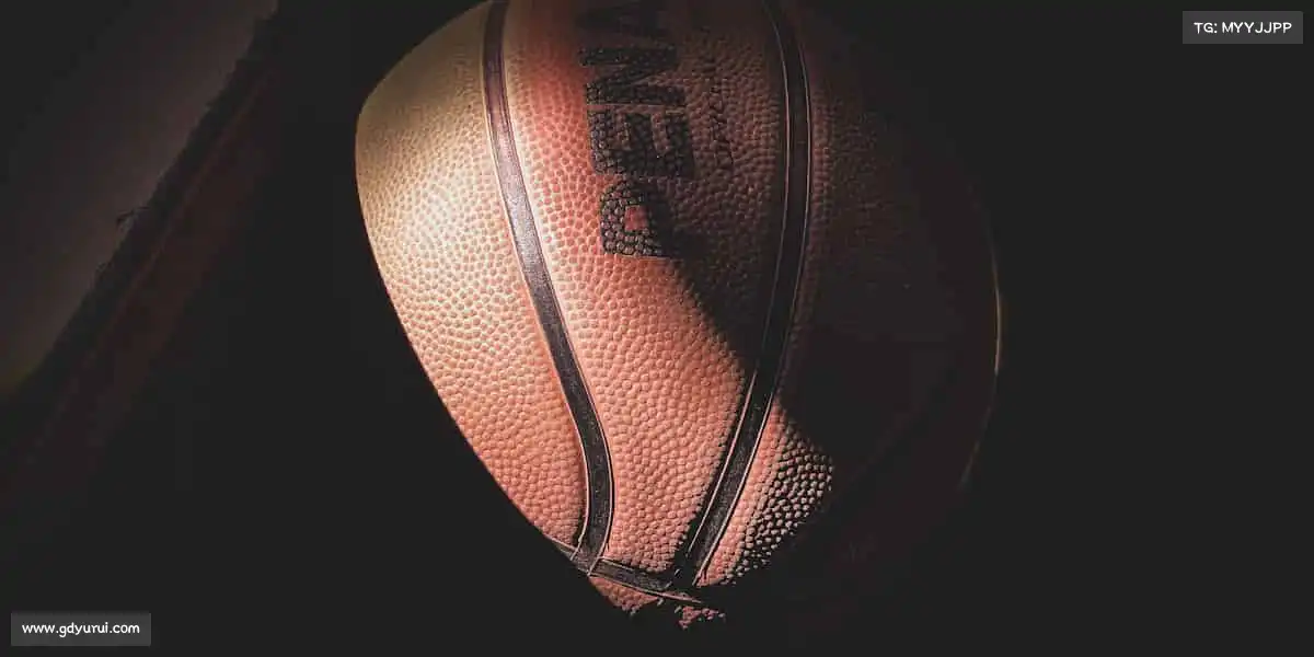 为什么选择我们