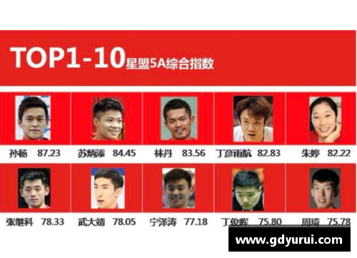中国体育明星表现评选标准与方法探讨